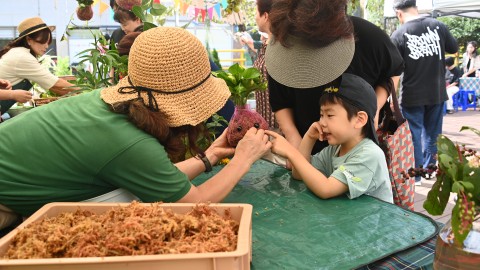 반여사랑 팜파티 축제