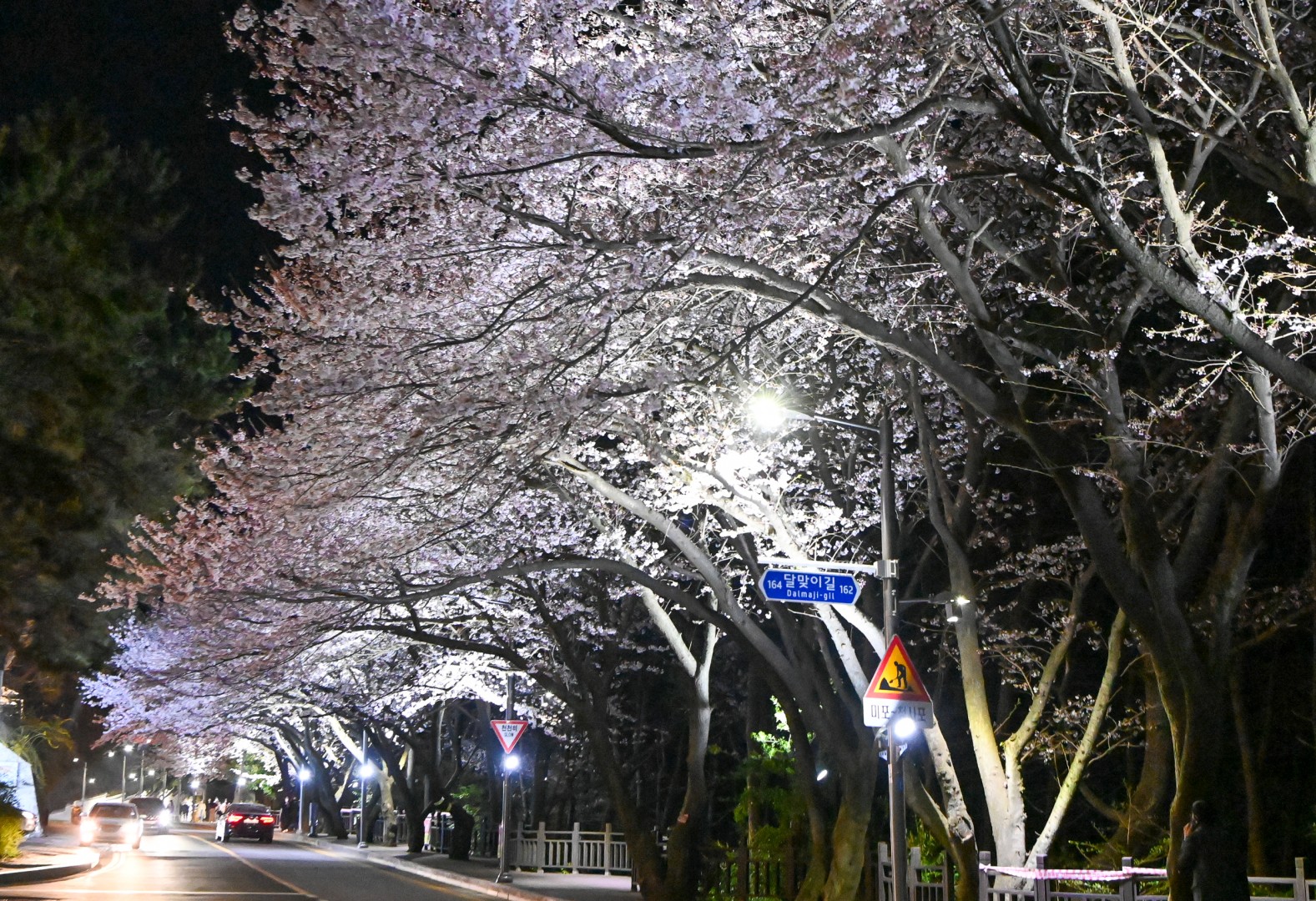 경관조명 시연 현장방문 12