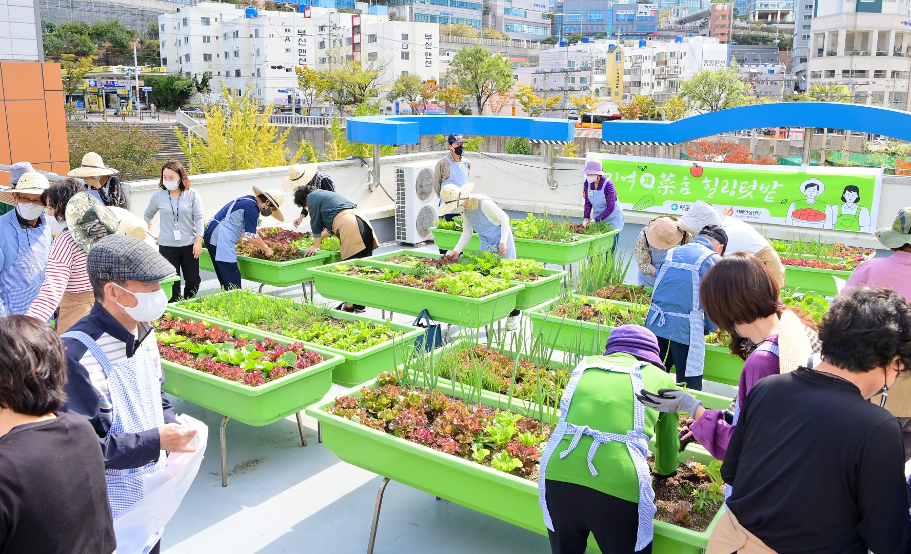도시농업공동체와 어르신 9