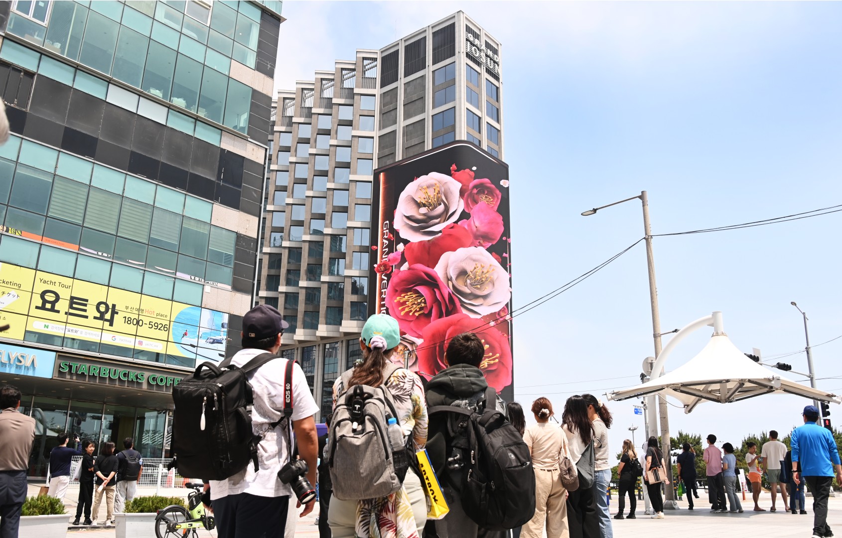 옥외광고물 자유표시구역 첫 광고판 11