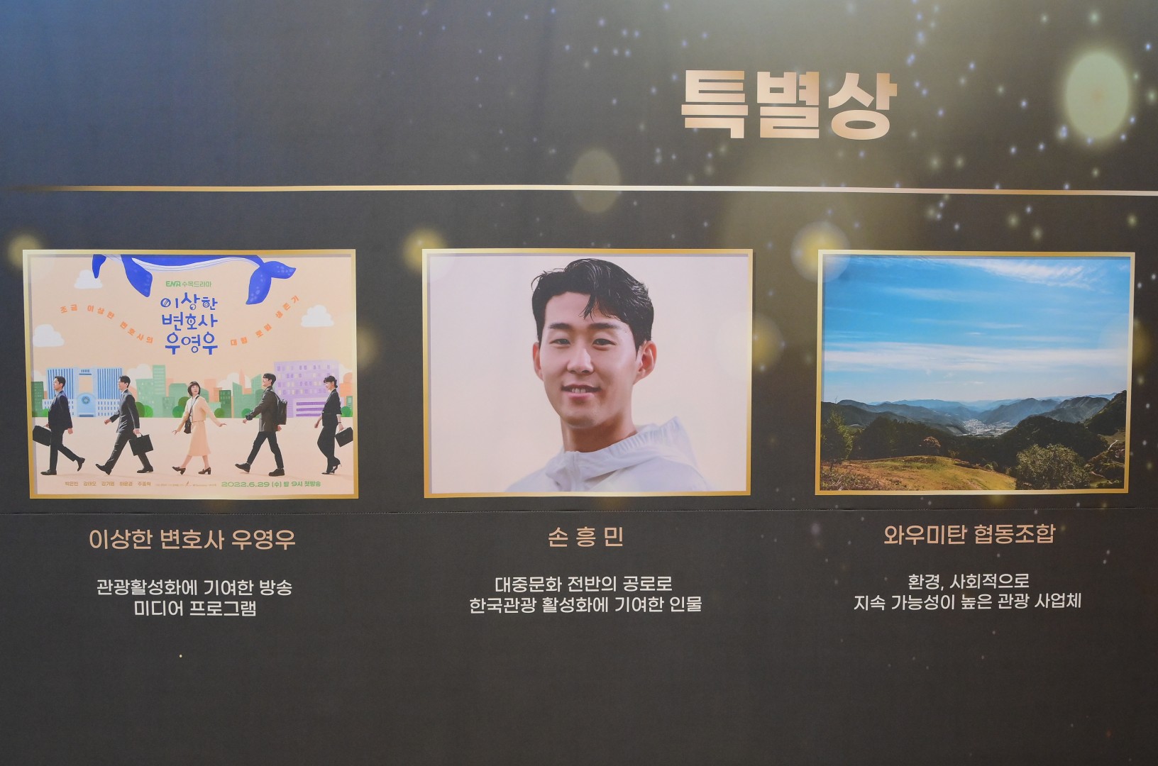 한국관광의별 시상식 22
