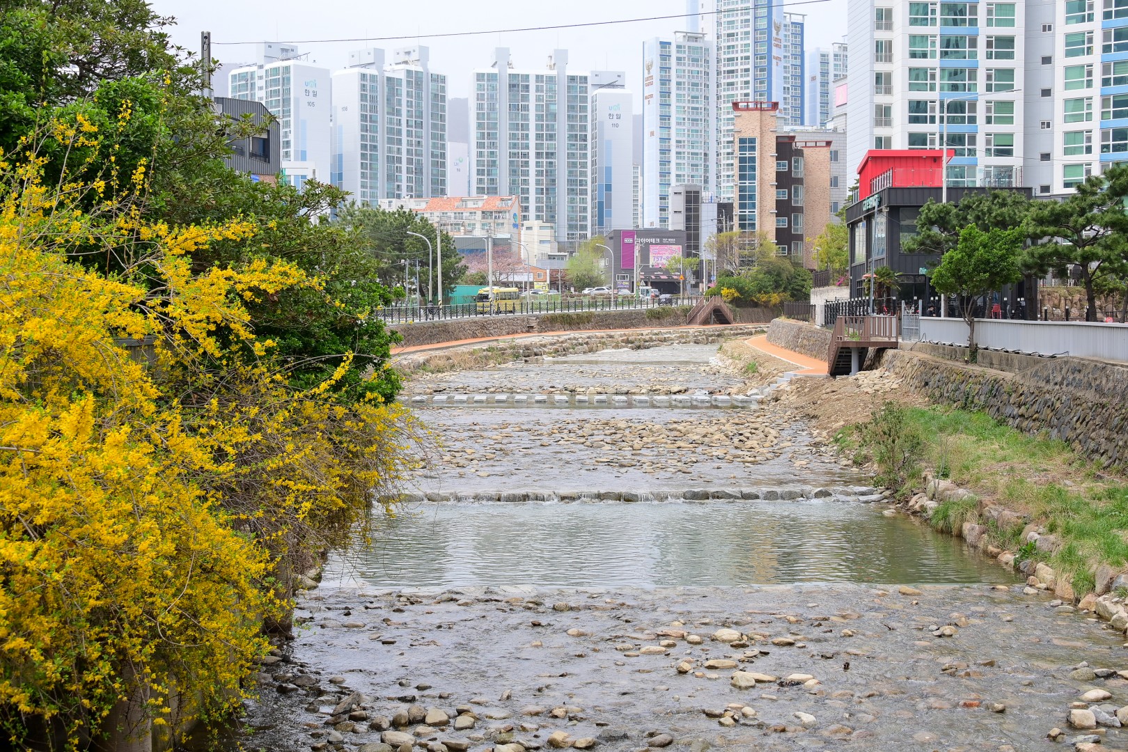 춘천 산책로 조성공사 준공식 22