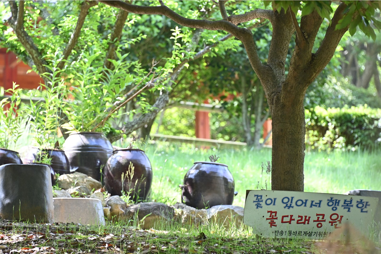 체육공원등 현장방문 24