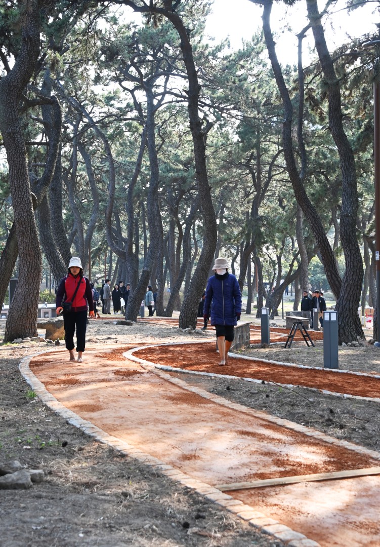 송림공원 황톳길 조성사업 준공식 2