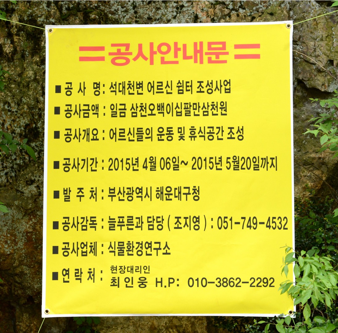구청장 현장행정 3