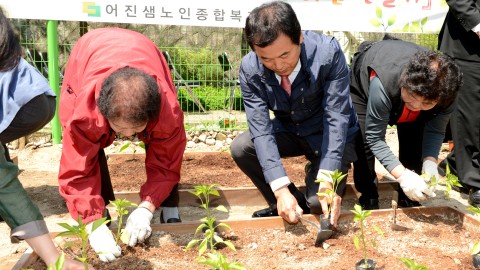 경로당 '희망텃밭 만들기'행사