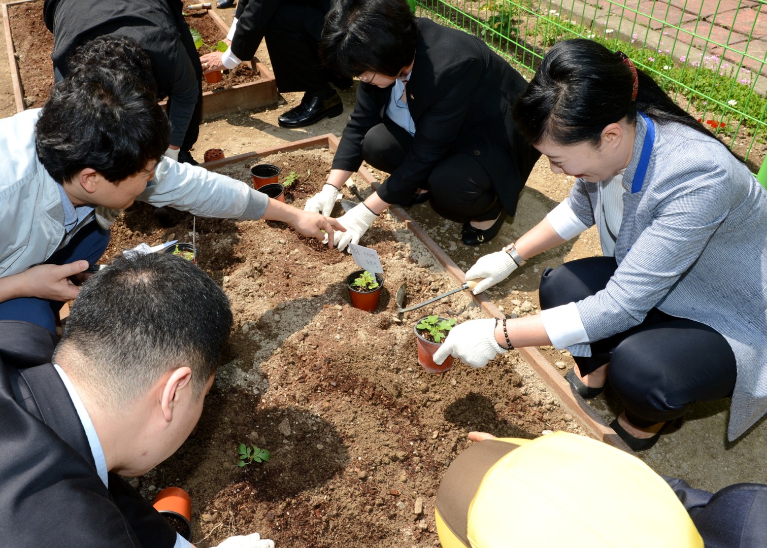 경로당 '희망텃밭 만들기'행사 6