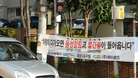 교차로 알리미 현장방문