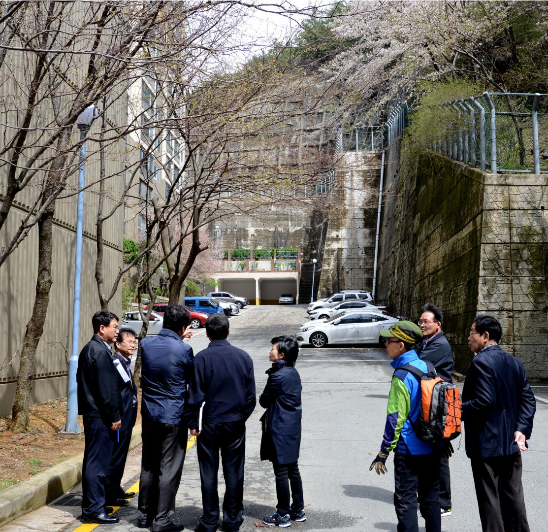 구청장 현장순찰 9