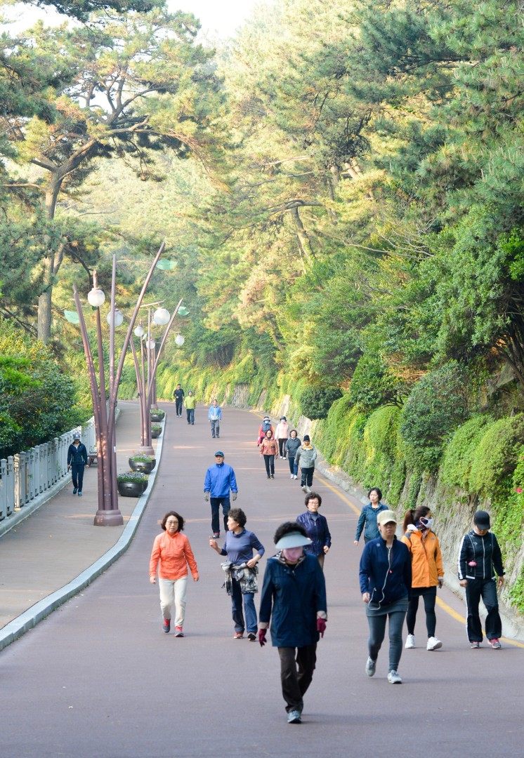 현장구청장실 운용 7