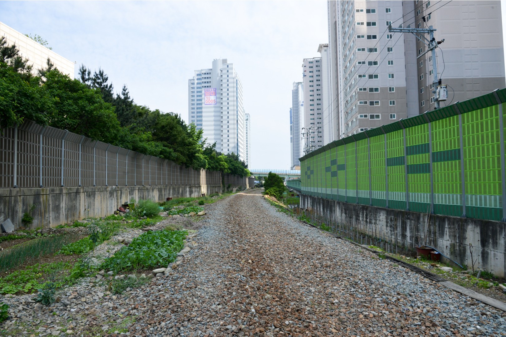 그린레일웨이 순찰 10