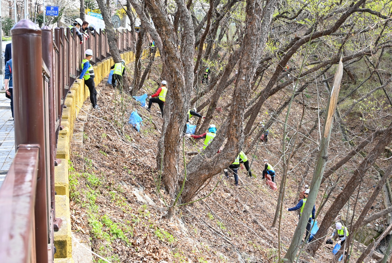 해운대구민 대청소의날 12