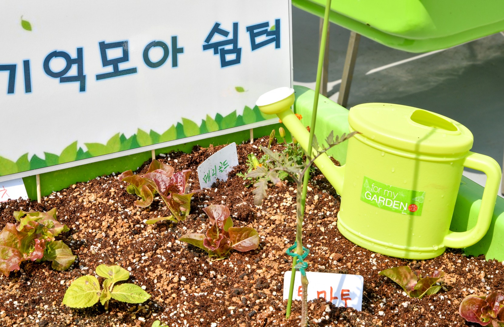도시농업현장방문 17