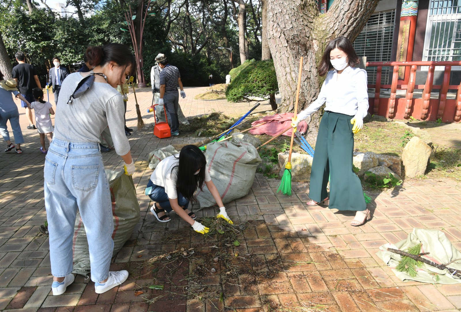 태풍후 환경정비 5
