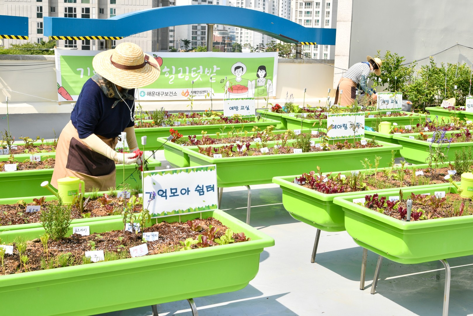 도시농업현장방문 14