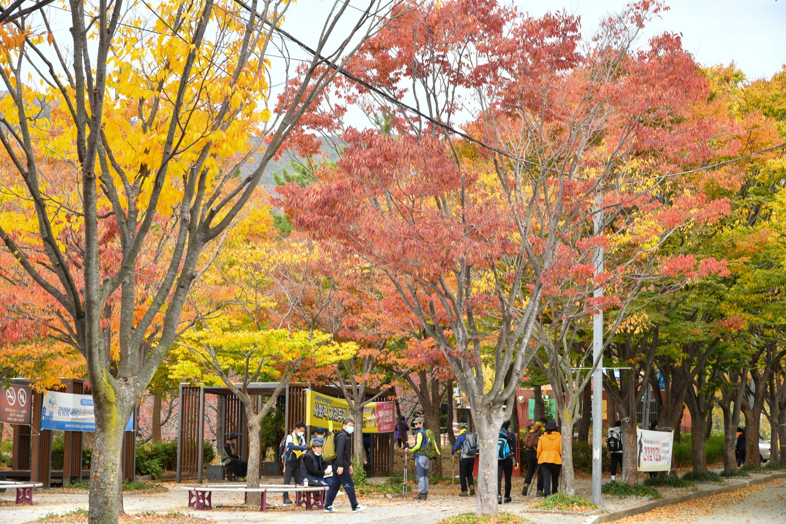도시농업 공동체 나눔행사 5