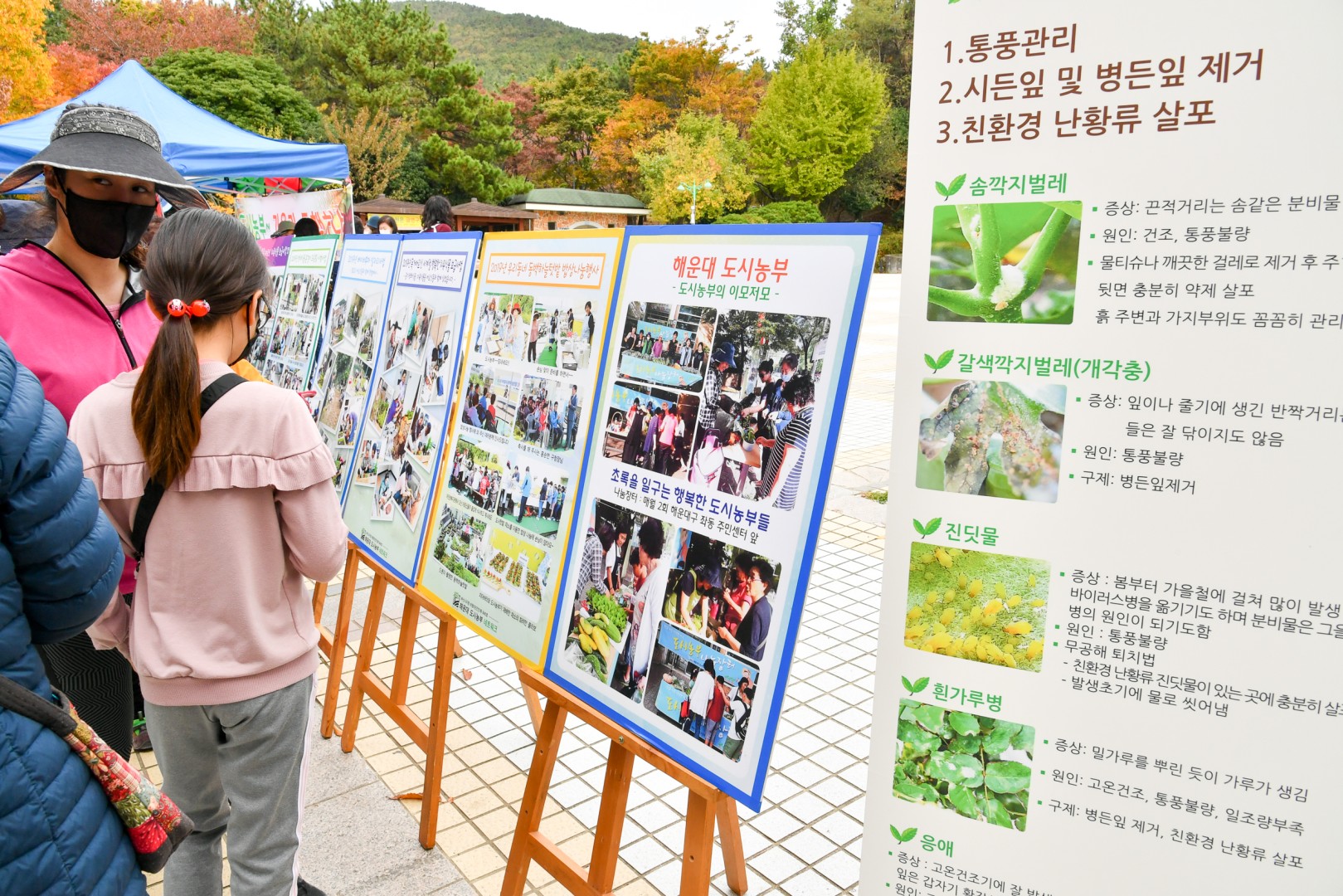 도시농업 공동체 나눔행사 2