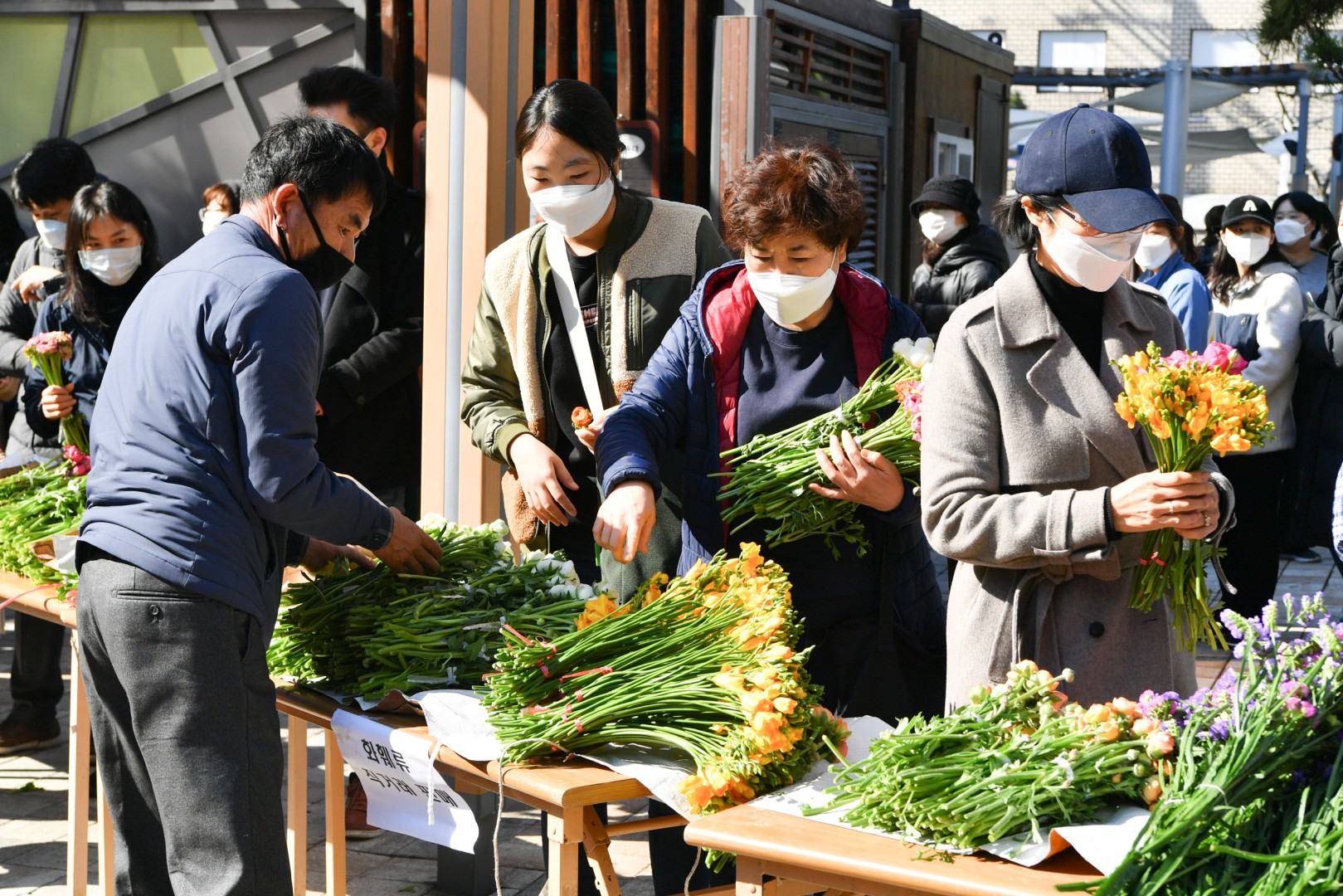 화훼농가돕기 5