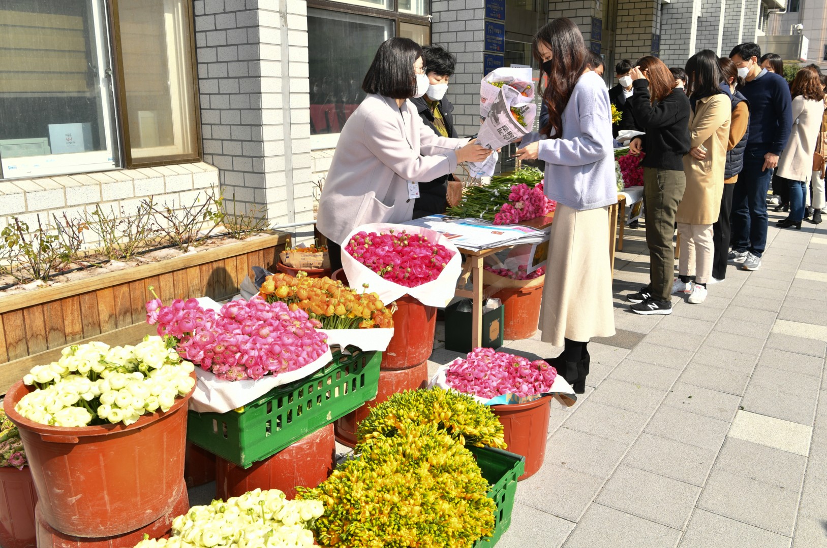 코로나19관련 화훼농가 돕기 5