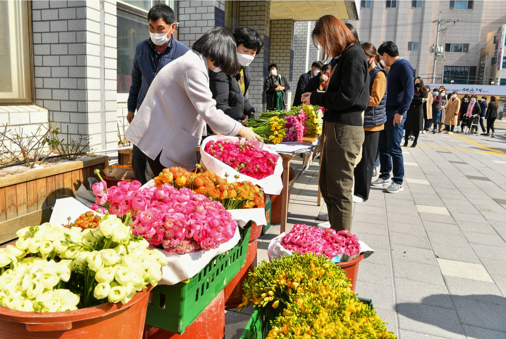 코로나19관련 화훼농가 돕기 6