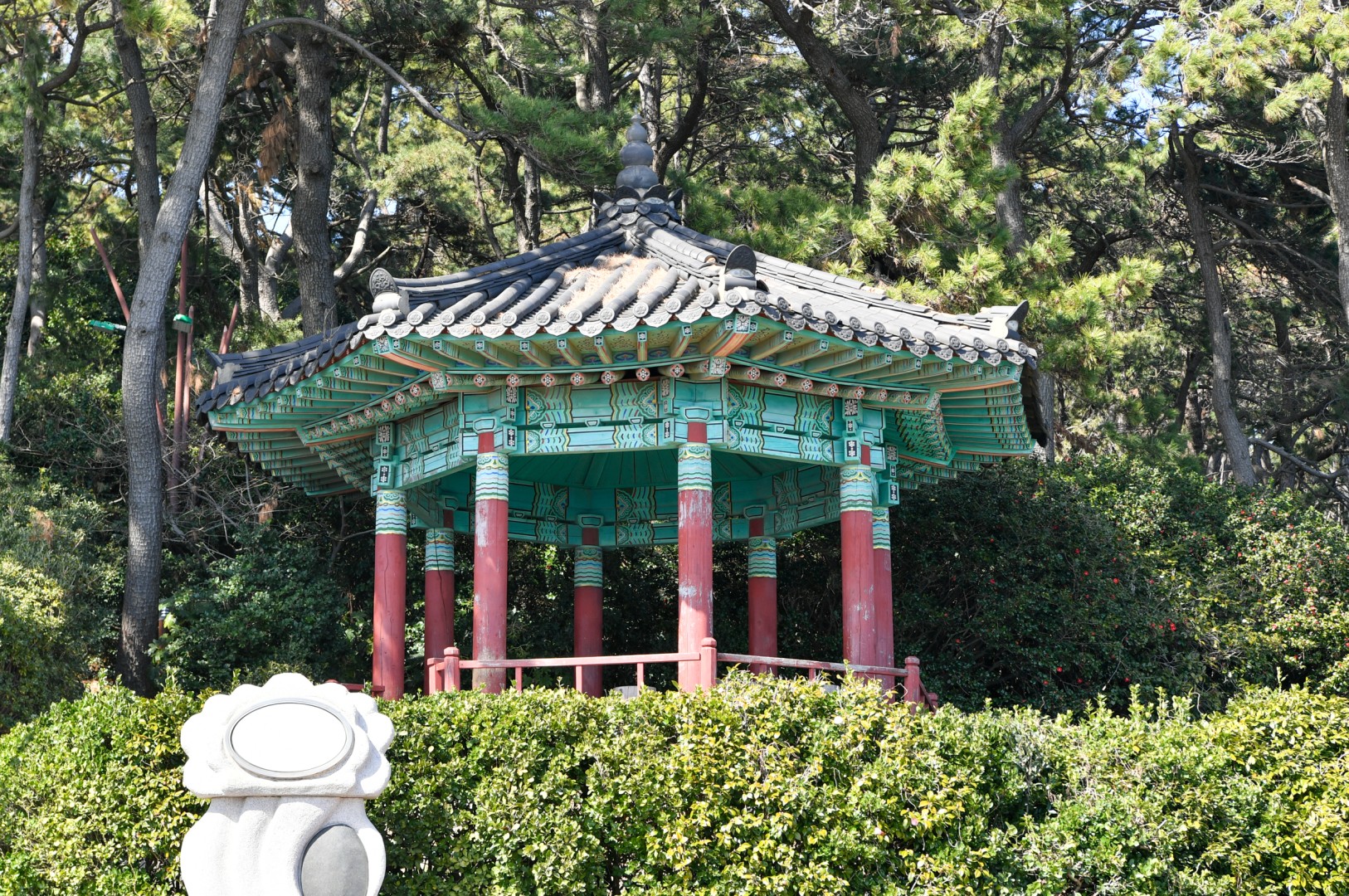동백섬 순찰 12