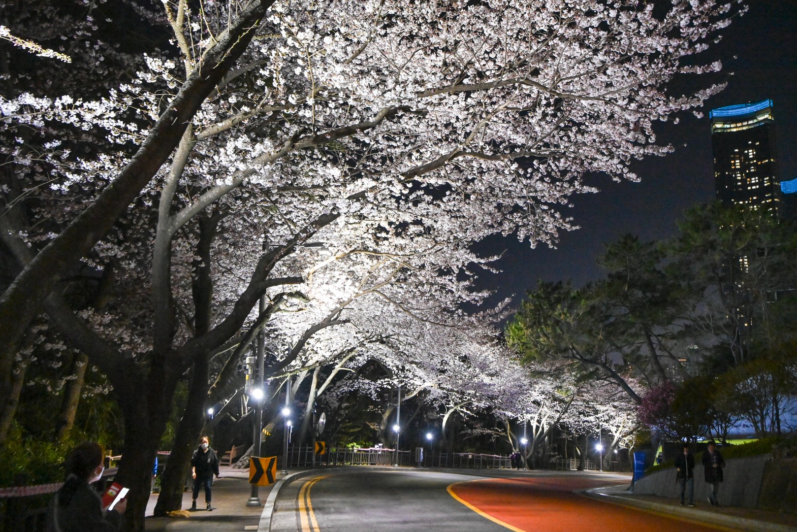 경관조명 시연 현장방문 9