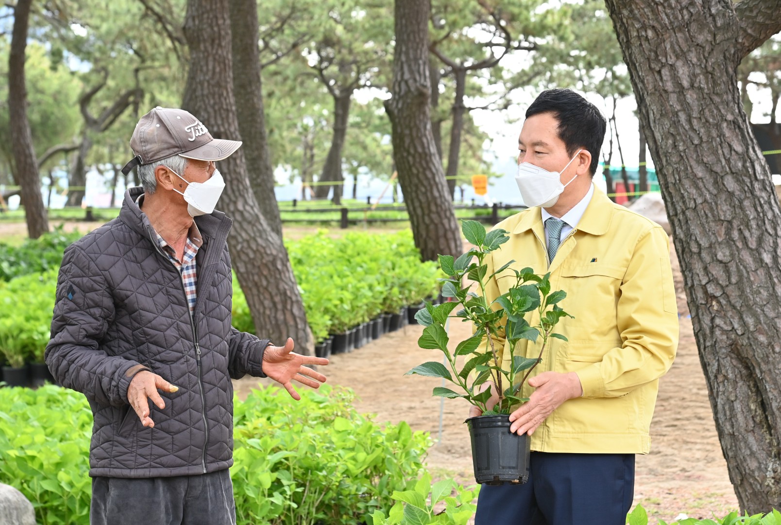 수국 군락지 조성공사 7