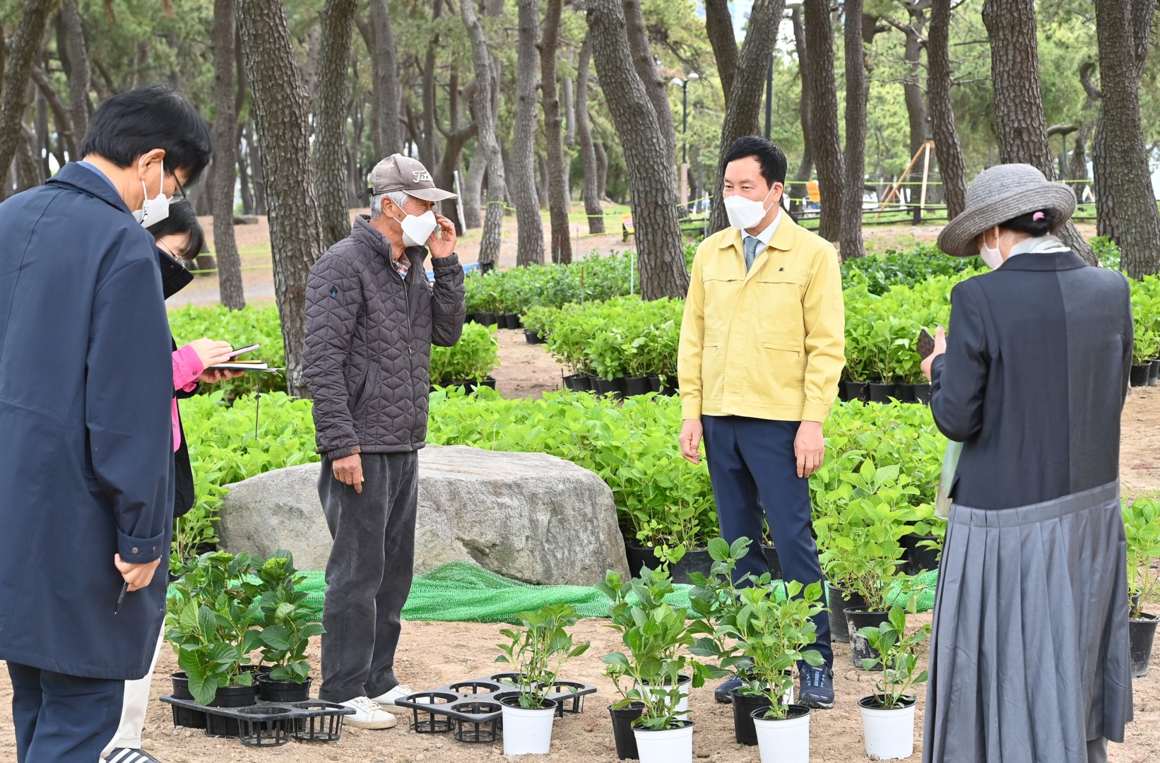 수국 군락지 조성공사 8