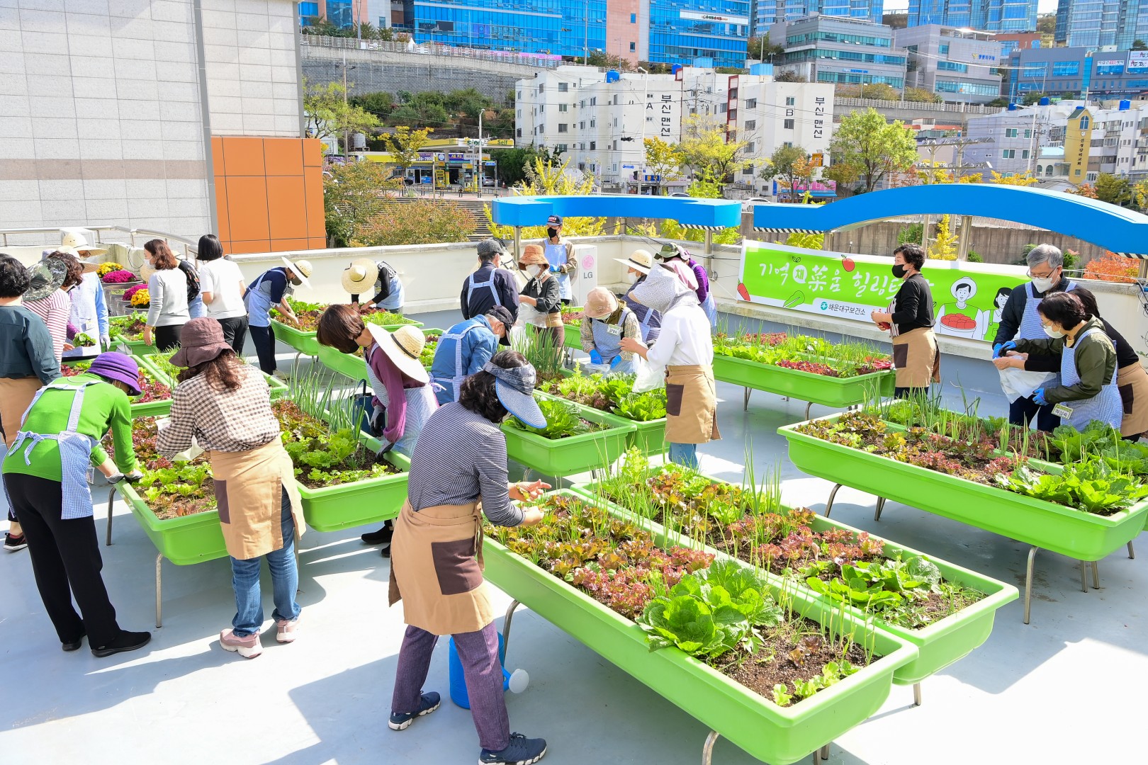 도시농업공동체와 어르신 8