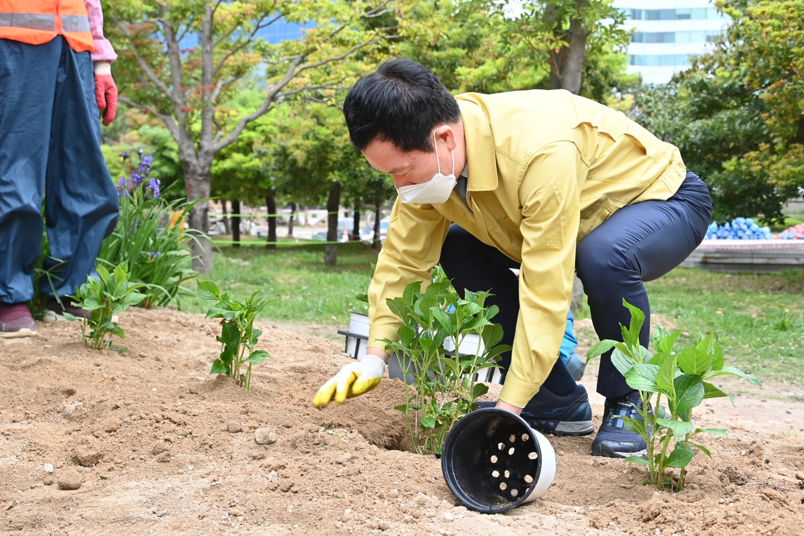 수국 군락지 조성공사 17