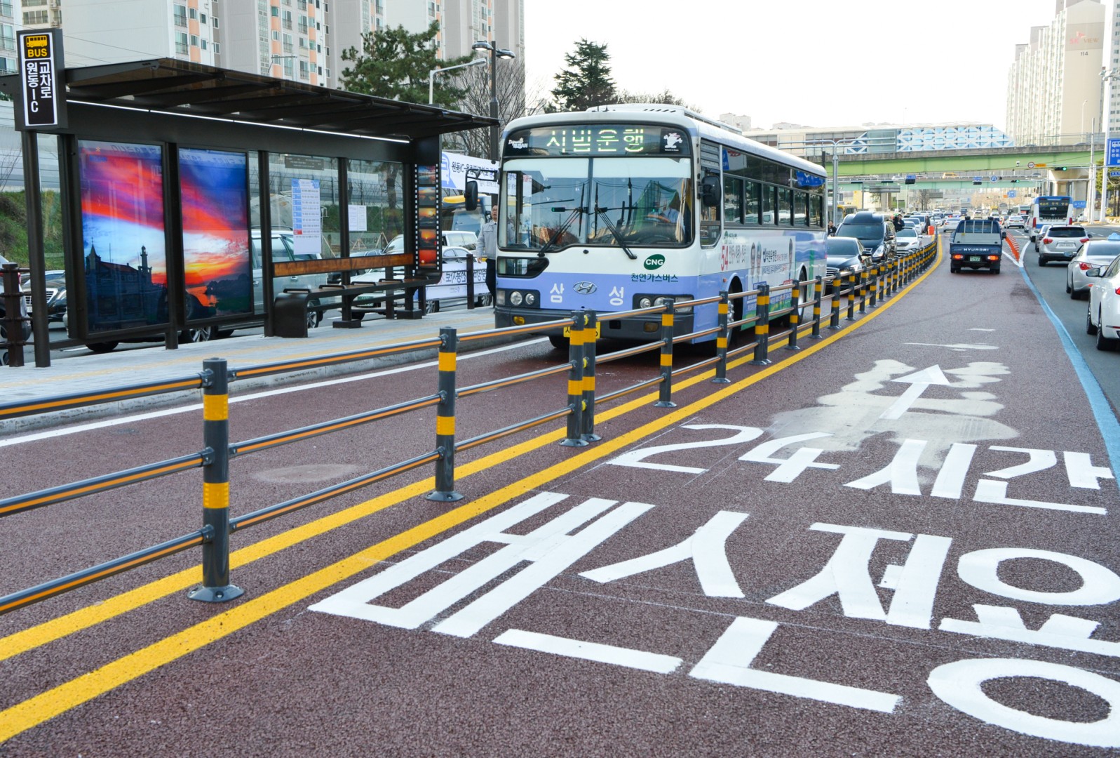 BRT 현장점검 10