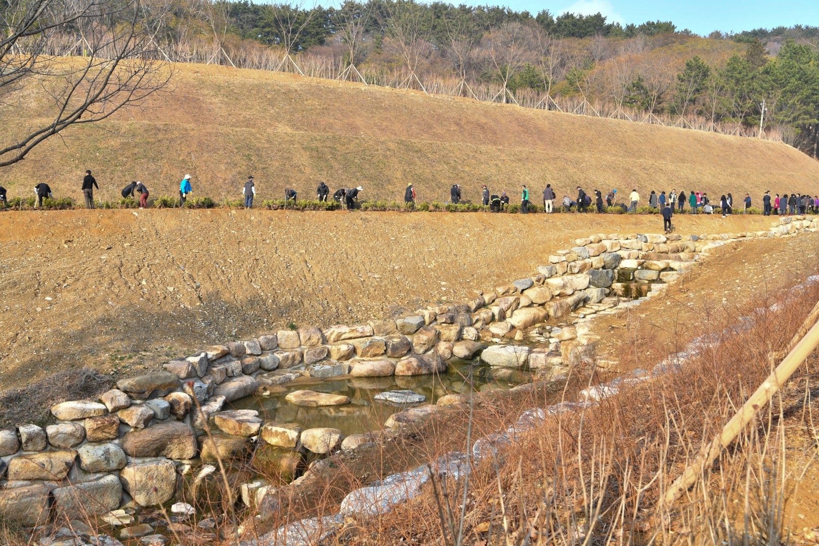 식목일행사 12