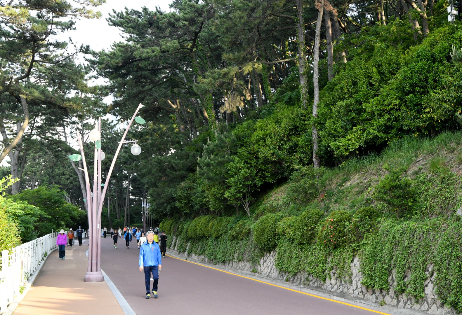 현장구청장실 7