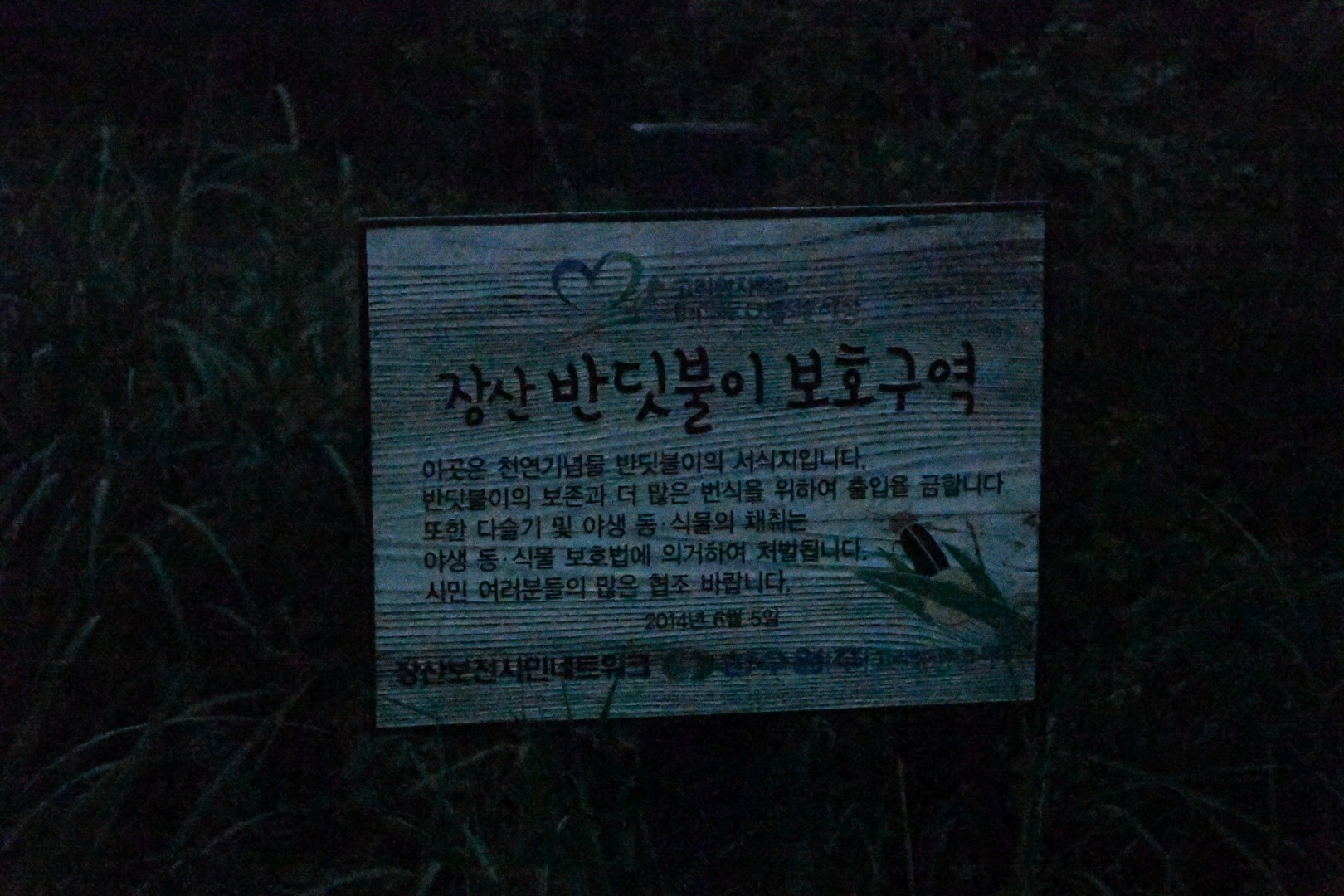 장산 반딧불이 탐방 6