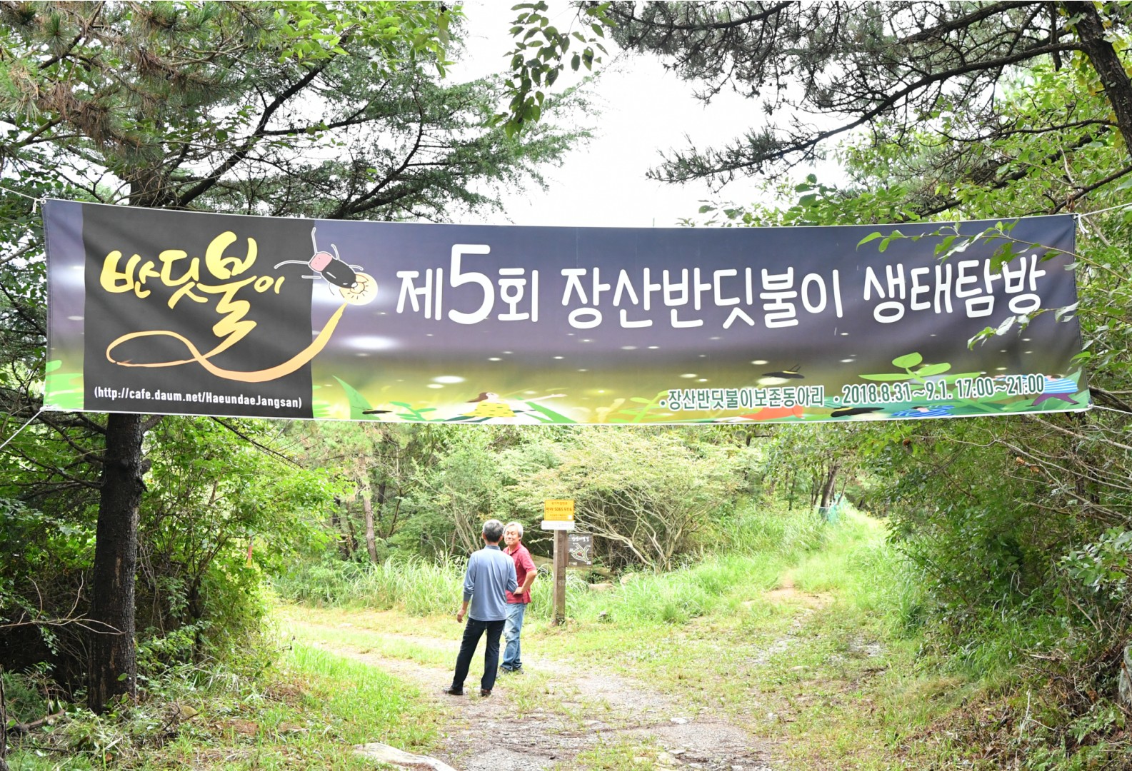 장산 반딧불이 탐방 1