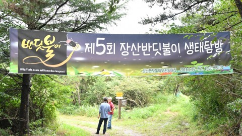 장산 반딧불이 탐방