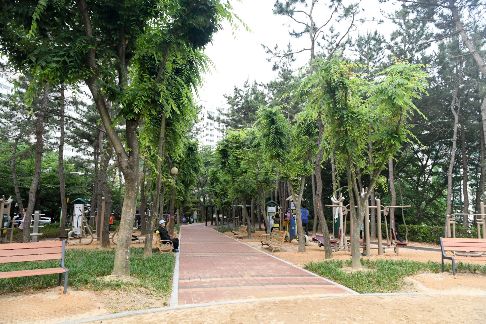 현장구청장실 5