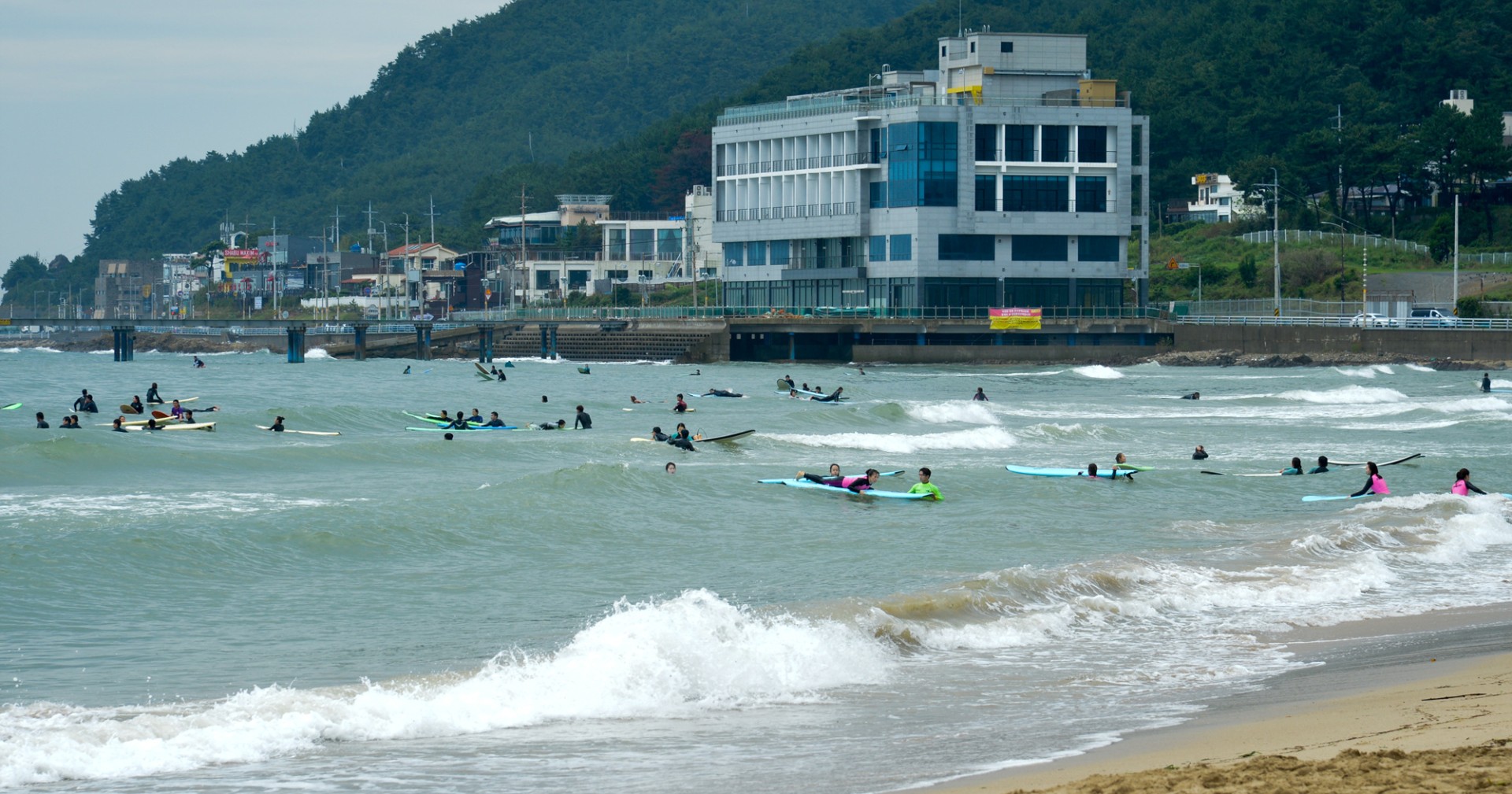 구청장배 국제서핑 페스티발 14