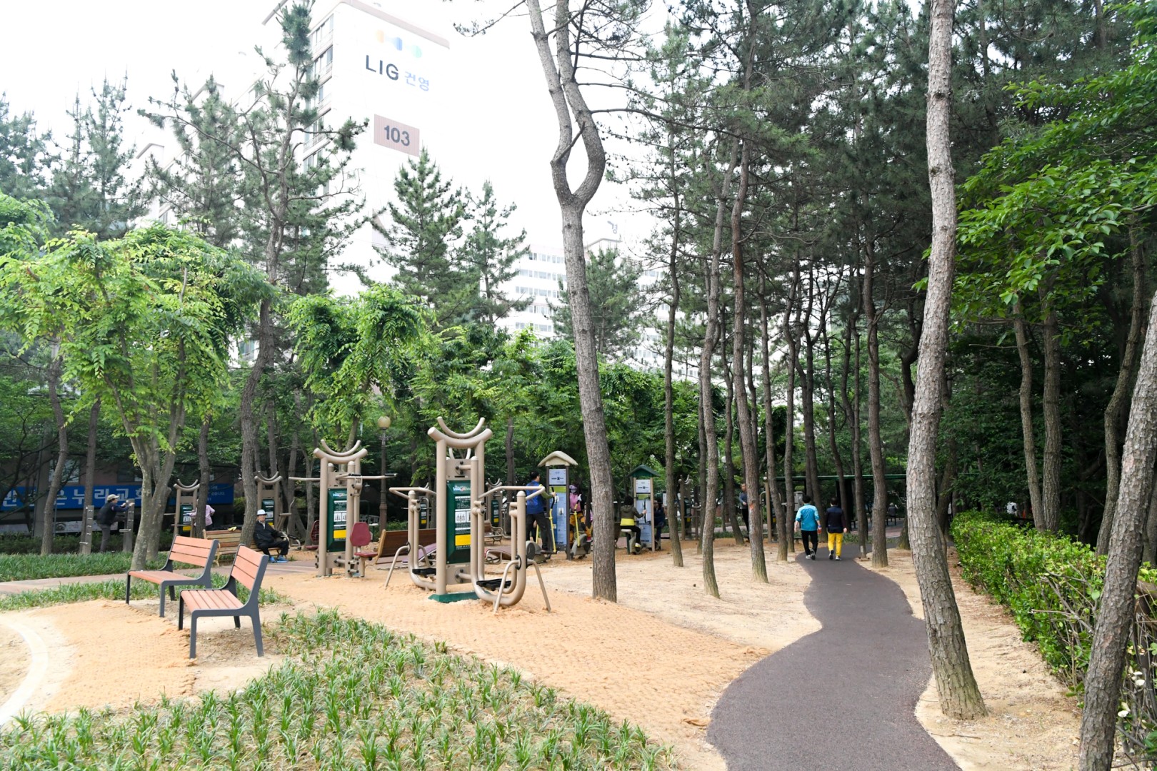 현장구청장실 4
