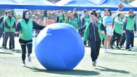 새마을회 체육회