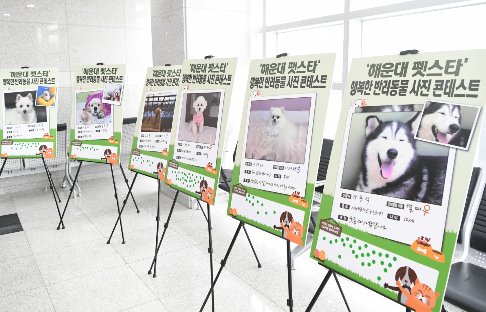 해운대반려동물토크콘서트 6
