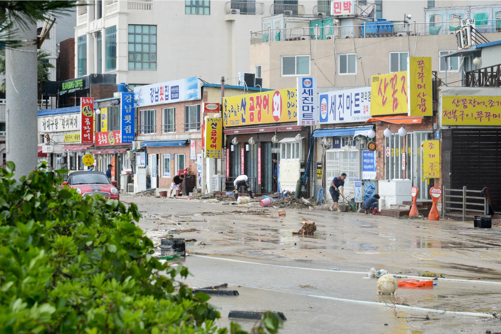 태풍 '차바' 피해 및 복구현장 32