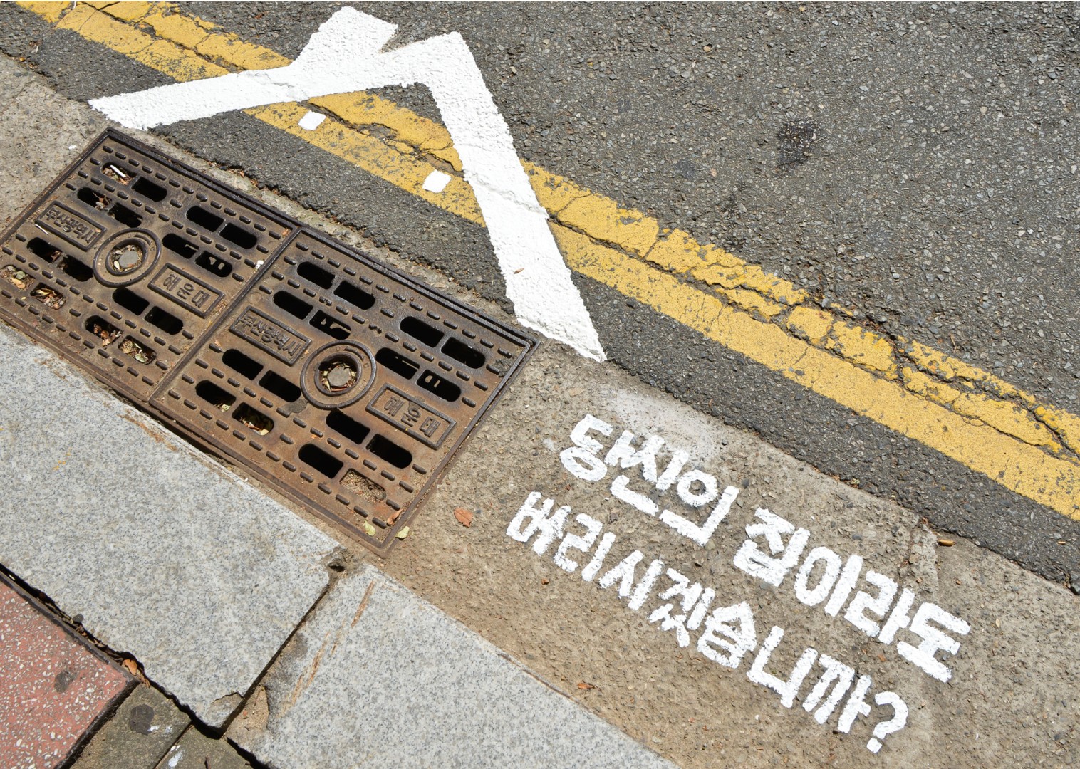 자원봉사 행복미소 캠페인 11