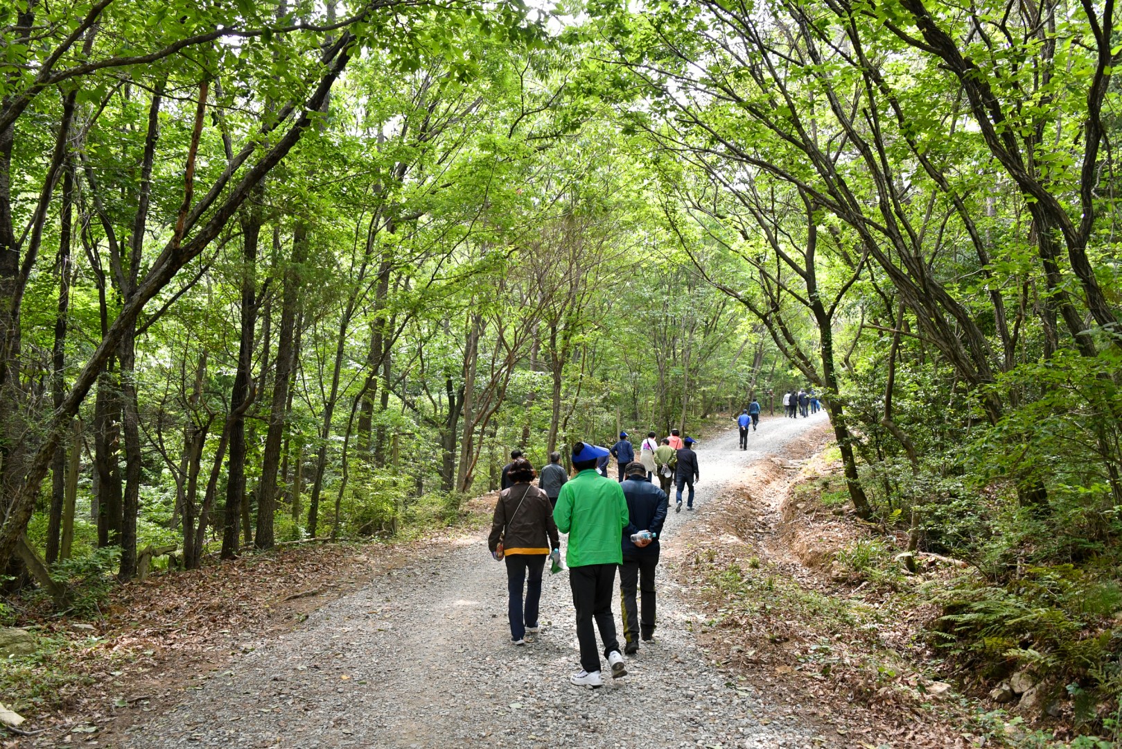 송정 옛길 복원사업 준공식 38