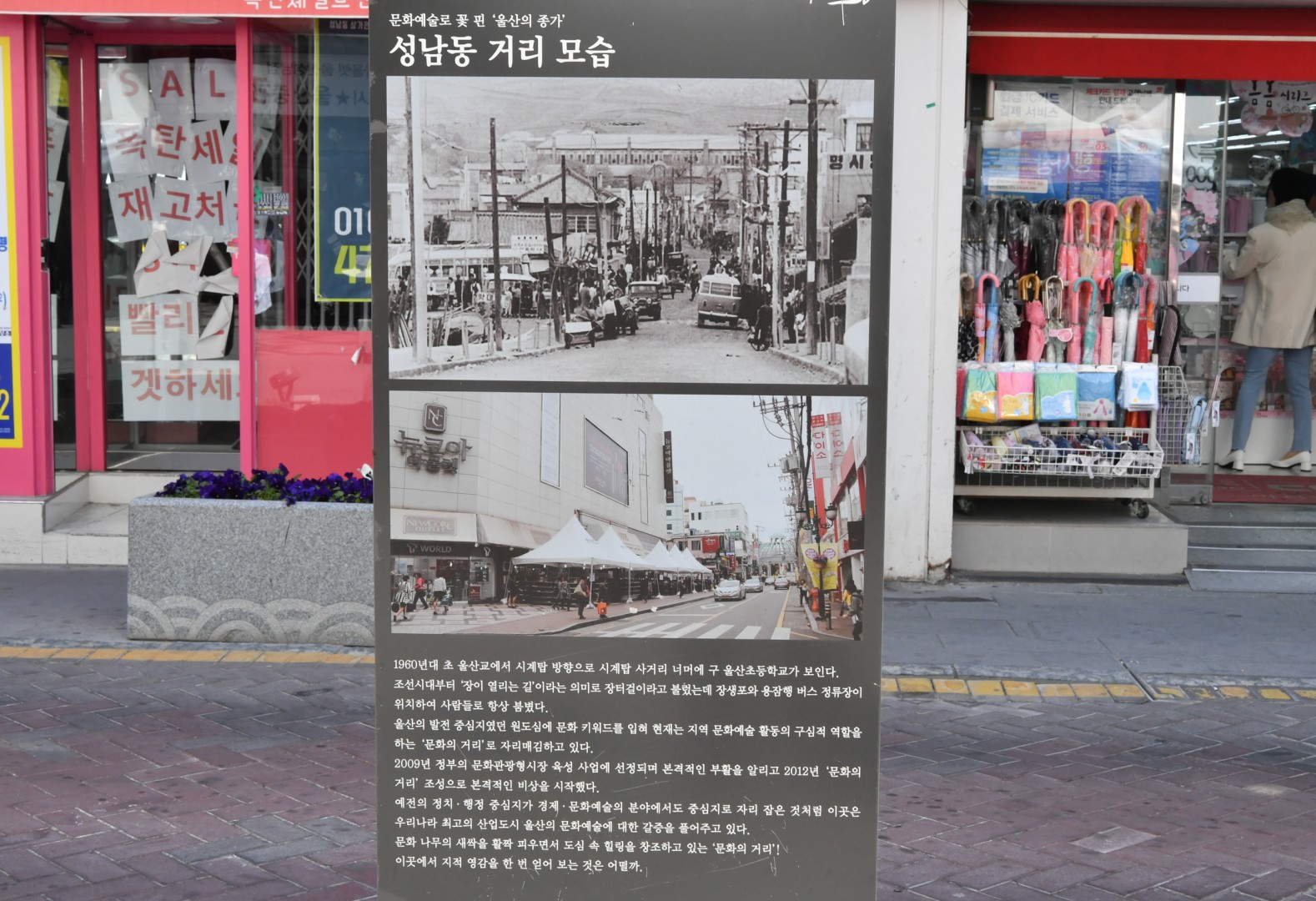 울산 지중화사업 현장방문 2