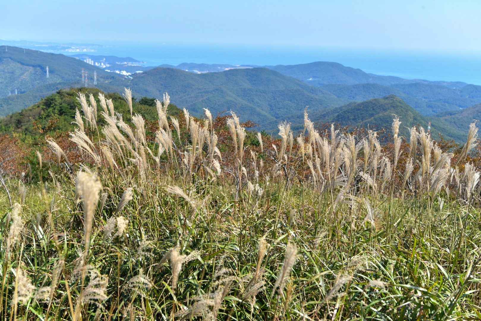 제21회 장산제 5