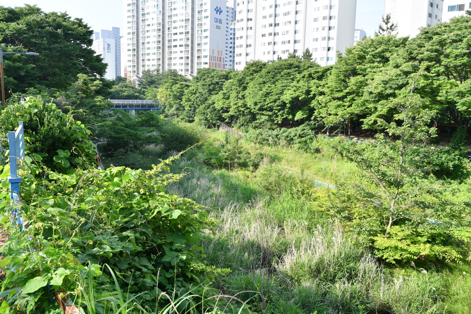 춘천 가로등공사 현장 2
