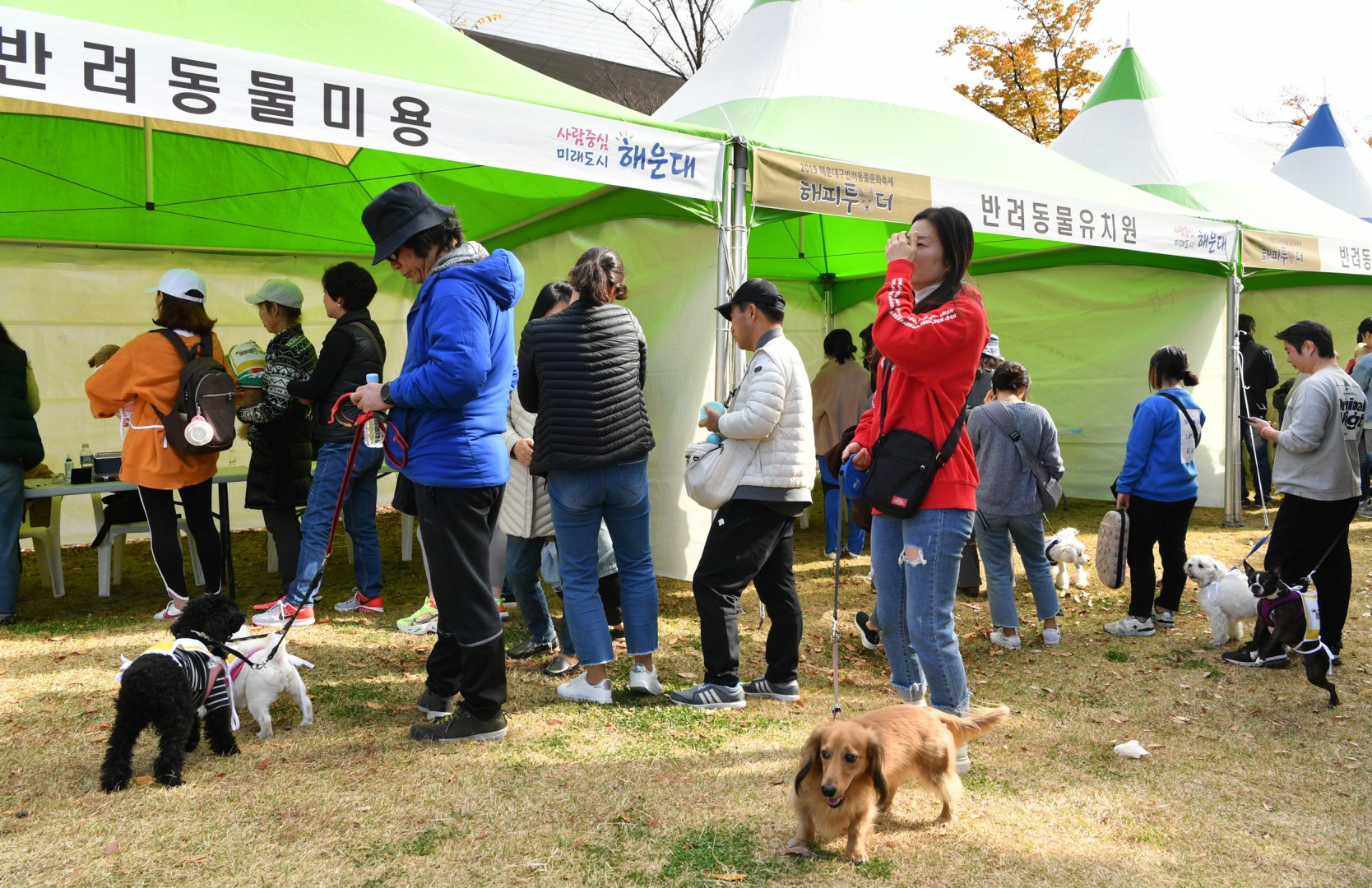 해운대구 반려동물축제 13