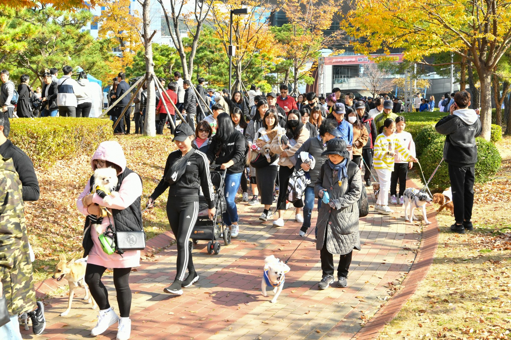 해운대구 반려동물축제 17