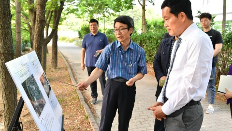춘천 가로등공사 현장